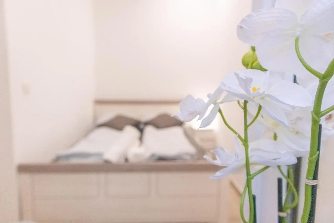 9 Min From City Center - Beautiful Studio Near U1 Reumannplatz ウィーン オーストリア